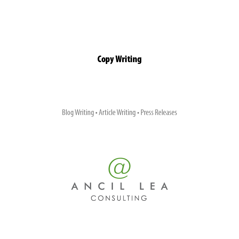 Online Portfolio Slide5